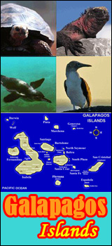 Galapagos Island