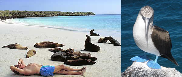 Galapagos Islands - Ecuador