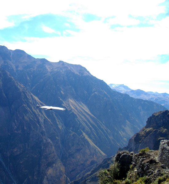 Colca Canyon